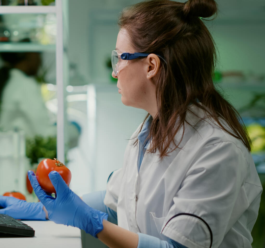 Investigación y desarrollo de productos